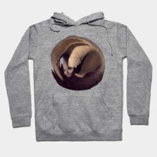 Giant Anteater Hoodie